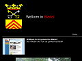 Het Brabantse net - Welkom in Bladel